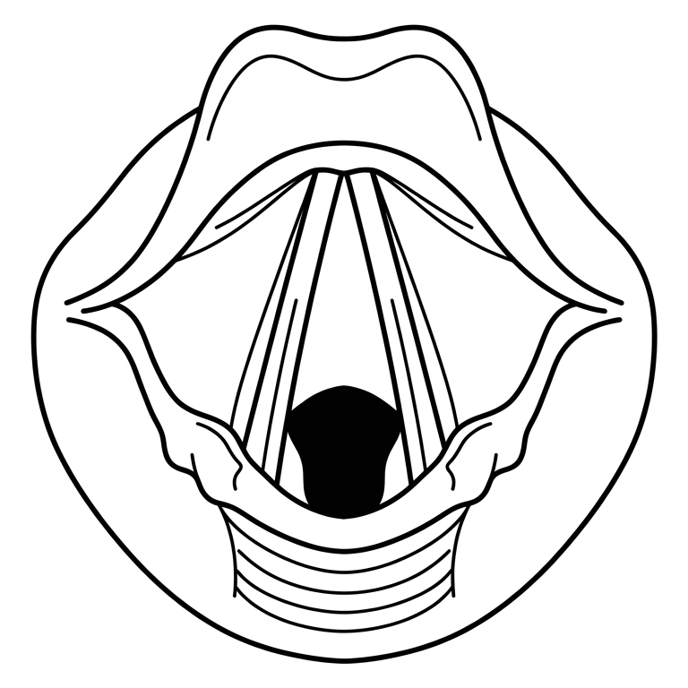 Voice & Throat (Laryngology)