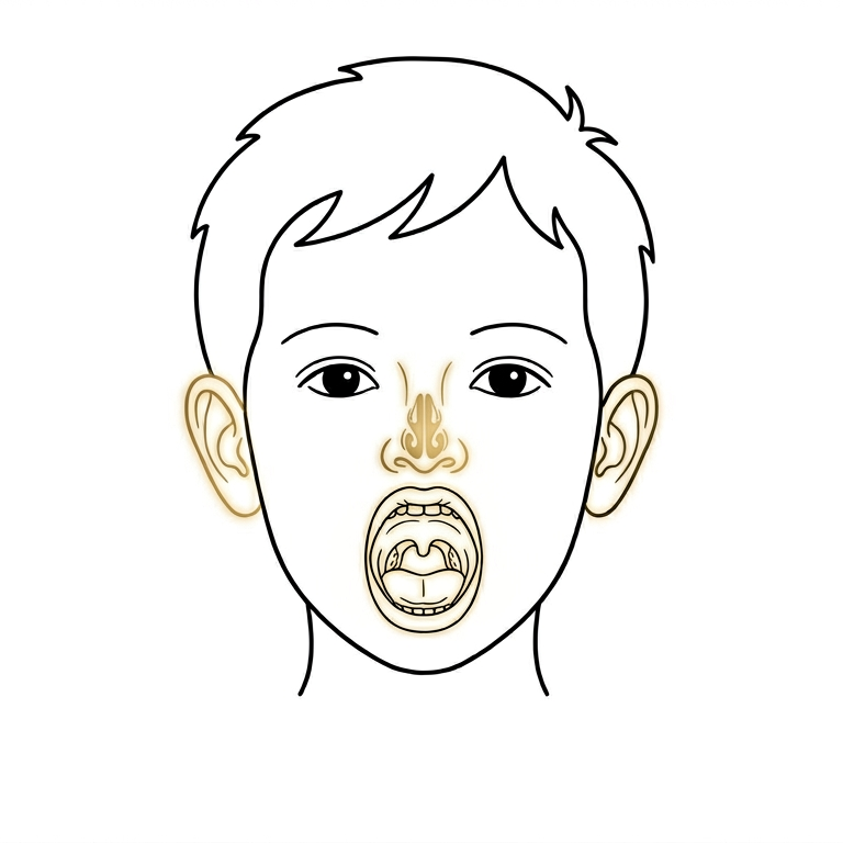 Pediatric ENT Care